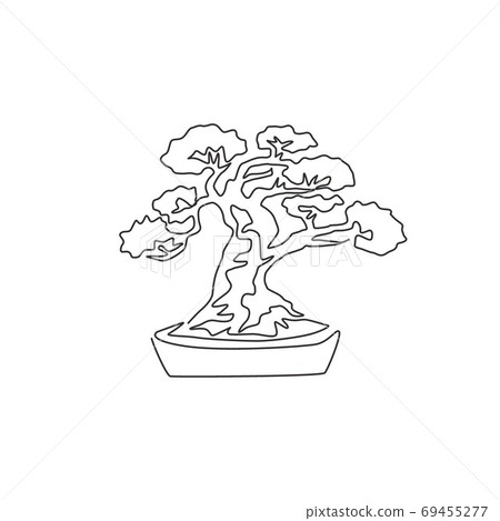 Bonsai Tree on Rock Drawing by Kathleen Voort - Fine Art America