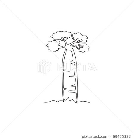 One continuous line drawing big and sturdy baobab tree 69455322