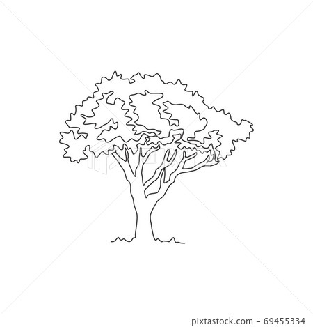 Single continuous line drawing beautiful marula tree for home decor wall art poster print 69455334