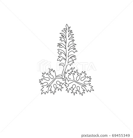 One continuous line drawing beauty fresh acanthus for home art wall decor poster print. 69455349