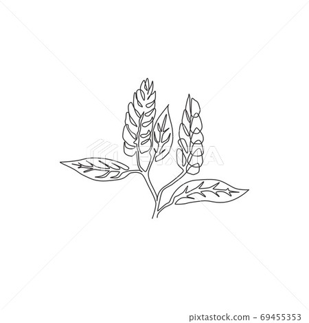 One continuous line drawing beauty fresh golden shrimp plant for wall decor home art poster print One continuous line drawing beauty fresh golden shrimp plant for wall decor home art poster print 69455353