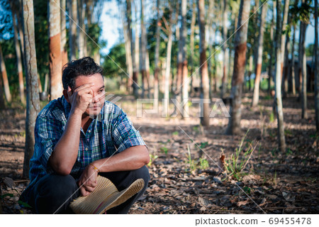 Farmer agriculturist Rubber plantation low yield 69455478