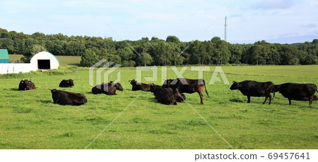 日本牛肉 日本牛肉 69457641