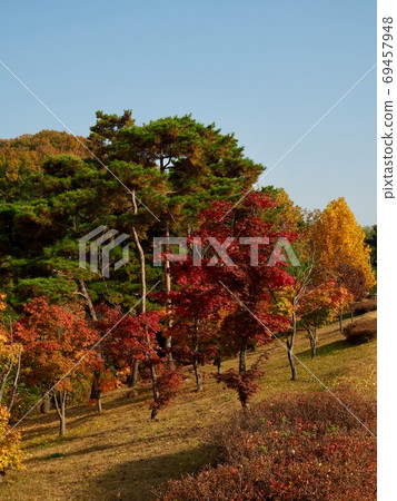 韓國秋天的楓樹風景 韓國秋天的楓樹風景 69457948