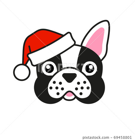 Cute French bulldog in santa claus hat 69458801
