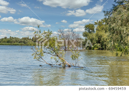 Danube river biosphere reserve summer landscape. 69459459
