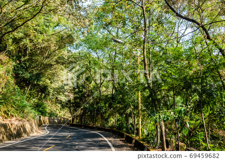 curval road under the tree curval road under the tree 69459682