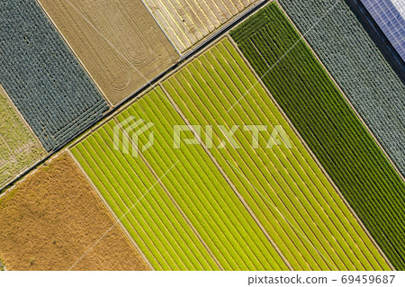 colorful farm with solar energy generation buildings colorful farm with solar energy generation buildings 69459687
