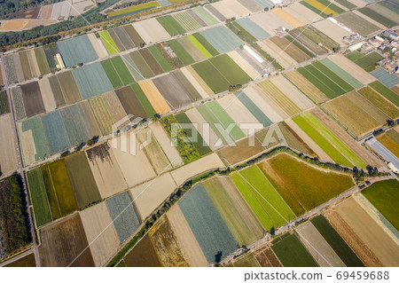 colorful farm with vegetables and rice colorful farm with vegetables and rice 69459688