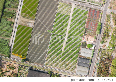 colorful farm with vegetables and rice colorful farm with vegetables and rice 69459693