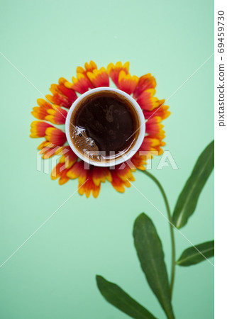 Cup of coffee on top of a flower Cup of coffee on top of a flower 69459730