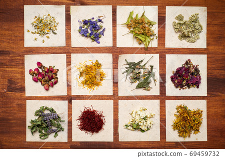Tea plants collection on cardoard paper flat lay Tea plants collection on cardoard paper flat lay 69459732