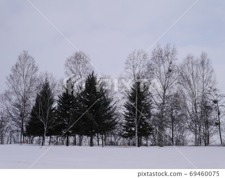 Cold winter scenery 69460075