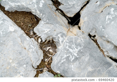 Closeup rock pattern with hole in nature 69460420