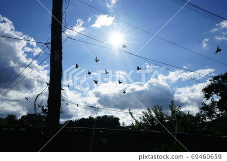 Alleyway, sky, road, housing Alleyway, sky, road, housing 69460659