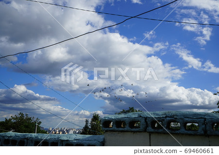 Alleyway, sky, road, housing Alleyway, sky, road, housing 69460661