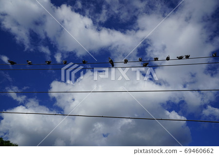 Alleyway, sky, road, housing Alleyway, sky, road, housing 69460662