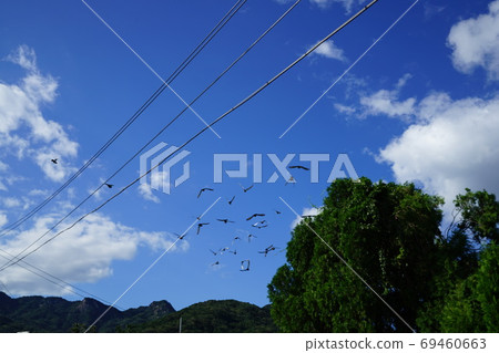 Alleyway, sky, road, housing Alleyway, sky, road, housing 69460663