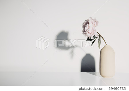 Vase with beautiful peony flower against white wall 69460783