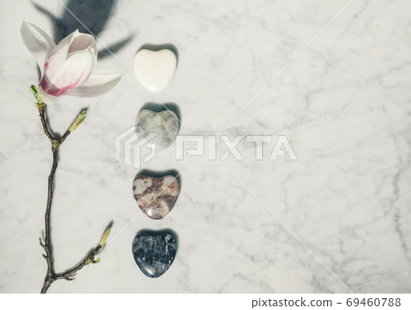 Flat lay composition with beautiful spring magnolia flowers and grey stones on white marble background. Relaxation and zen like concept. Flat lay composition with beautiful spring magnolia flowers and grey stones on white marble background. Relaxation and zen like concept. 69460788