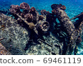Ogasawara Chichijima stranded ship Hamae Maru 69461119