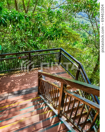 Footstep in a tropical forest in the Yanoda Rainforest Cultural 69461804