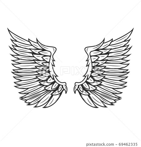 Wings isolated on white background. Design elements for logo, label, emblem, sign, badge. Vector illustration 69462335