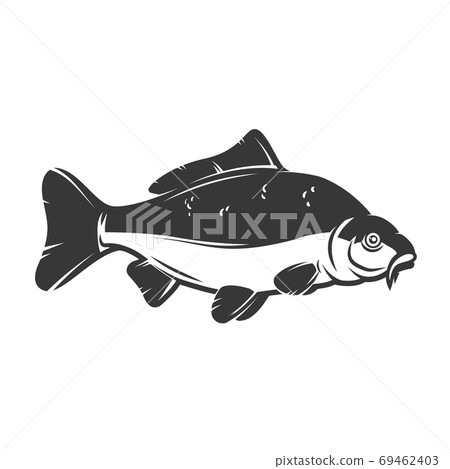 Carp fish isolated on white background. Design element for logo, emblem, sign, brand mark. Vector illustration Carp fish isolated on white background. Design element for logo, emblem, sign, brand mark. Vector illustration 69462403