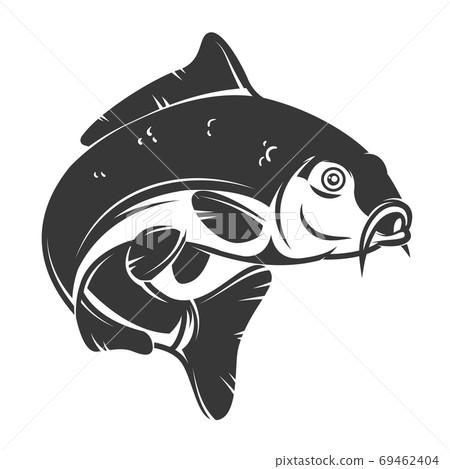 Carp fish isolated on white background. Design element for logo, emblem, sign, brand mark. Vector illustration Carp fish isolated on white background. Design element for logo, emblem, sign, brand mark. Vector illustration 69462404
