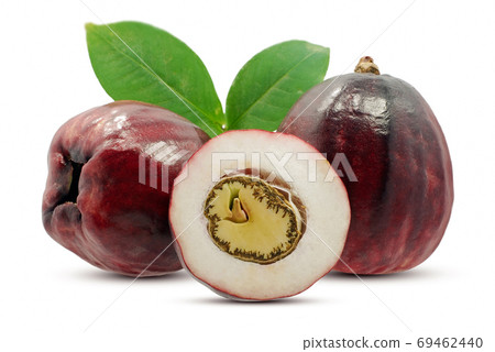 Malay apple fruit isolated on white background 69462440