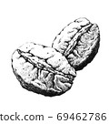 Coffee beans. Hand-drawn black and white illustration. Jpeg only 69462786