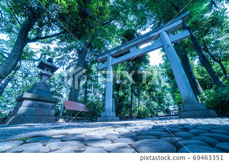 [Yoyogi Hachimangu] Torii of a shrine standing in early summer 69463351