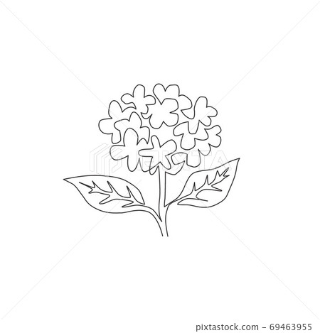 Single one line drawing of beauty fresh... - Stock Illustration [69463955]  - PIXTA