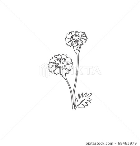 Single continuous line drawing of beauty fresh tagetes erecta for home decor wall art poster print Single continuous line drawing of beauty fresh tagetes erecta for home decor wall art poster print 69463979