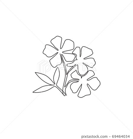 One continuous line drawing beauty fresh catharanthus for home wall decor art poster print One continuous line drawing beauty fresh catharanthus for home wall decor art poster print 69464034
