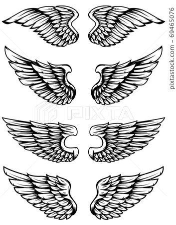 Set of bird wings isolated on white background. 69465076