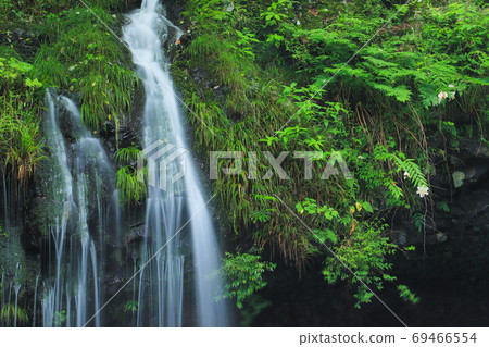 神宮瀑布富士宮市 69466554