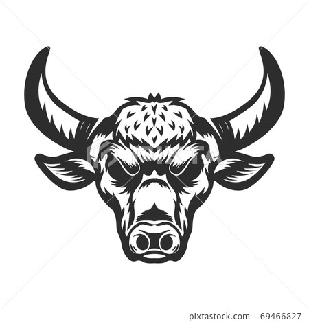 Bull head illustration on white background. Bull head illustration on white background. 69466827