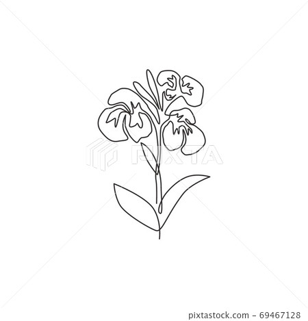 One continuous line drawing beauty fresh canna for garden logo 69467128