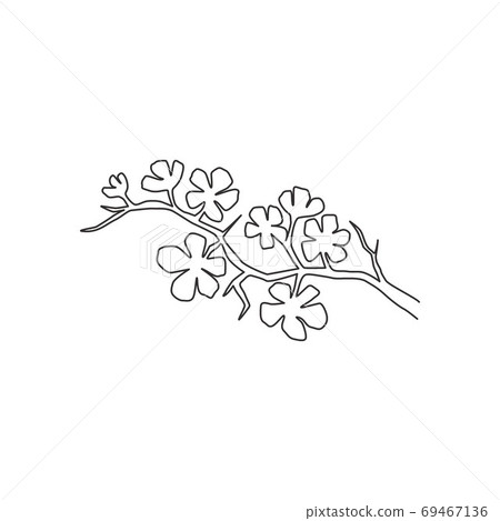 One continuous line drawing of beauty fresh cherry blossom for garden logo One continuous line drawing of beauty fresh cherry blossom for garden logo 69467136