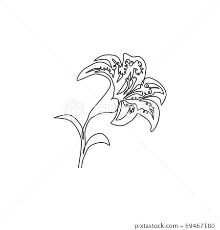 Single continuous line drawing of beauty fresh tiger lily for home decor wall art poster print Single continuous line drawing of beauty fresh tiger lily for home decor wall art poster print 69467180
