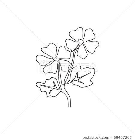 Single one line drawing of beauty fresh common mallow for home decor wall art poster print Single one line drawing of beauty fresh common mallow for home decor wall art poster print 69467205