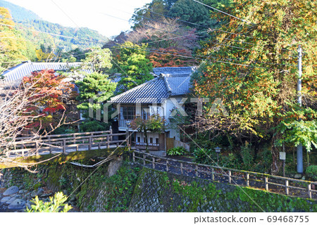 The dancing place of Izu The dancing place of Izu 69468755