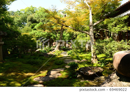 Midsummer garden and moss Midsummer garden and moss 69469022
