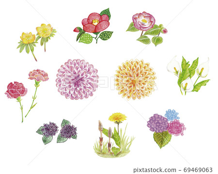 各種花套裝 69469063