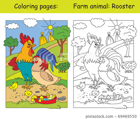 Coloring and color Rooster Coloring and color Rooster 69469550