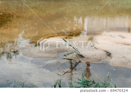 Sand and grass on the water Sand and grass on the water 69470324