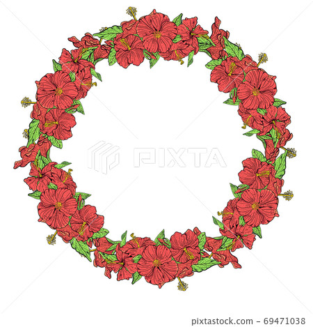 Frame with hibiscus flowers in vector Frame with hibiscus flowers in vector 69471038