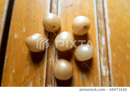 6 seeds of Clivia 69471688