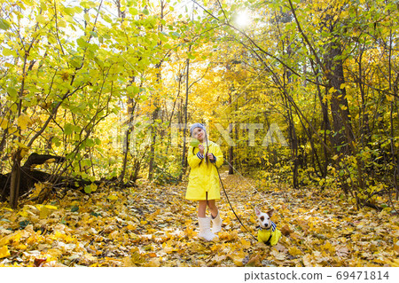 Child playing in autumn park with a jack russell terrier. Kid and jack russell terrier dog. Child playing in autumn park with a jack russell terrier. Kid and jack russell terrier dog. 69471814